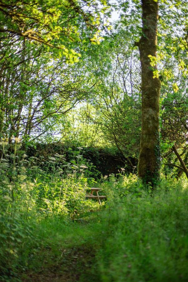 Ardnavaha House - Poolside Cottages Clonakilty Luaran gambar